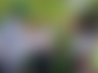 Oposición se Basa de Falsedad para Confundir a la Sociedad: Ramírez Marín