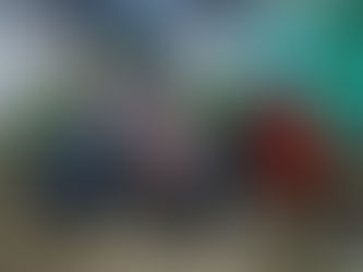 Partido Verde Fortalece Presencia en Mérida y Municipios de Yucatán