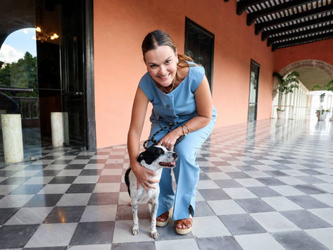 Campaña para dar Hogar a Perros y Gatos Rescatados en Mérida