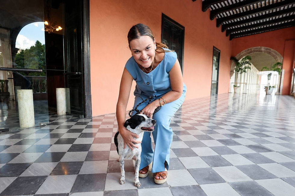 Campaña para dar Hogar a Perros y Gatos Rescatados en Mérida