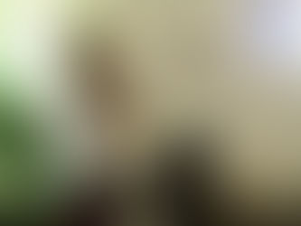 Desde El Congreso Lograré el Crecimiento Económico que Beneficie a Todos los Ciudadanos: Jessica Saidén