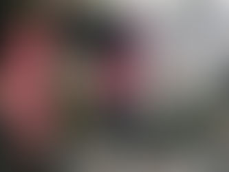 A "Crosty" se le quemo su casa en Navidad