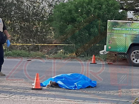 Otra víctima del periférico