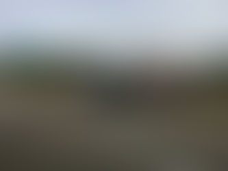 Estallido de llanta la manda al camellón