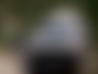 Halla a su inquilino muerto