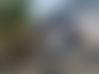 Explota predio en colonia de Mérida