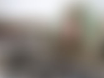 Congreso de Yucatán aprueba por unanimidad reformas en seguridad pública y protección animal