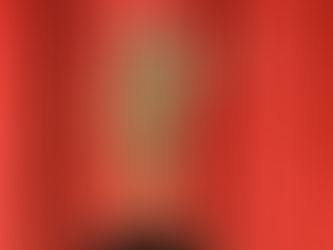 Mattel homenajea a Tina Turner con una Barbie