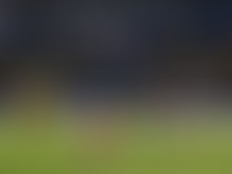 Francia se da un festín y gana su boleto al Mundial