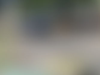 Interrumpe su vida aventándose a las ruedas de un camión