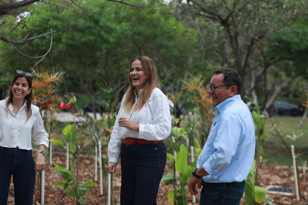 Mérida Estrena su Primer Jardín de Lluvia para Combatir Encharcamiento