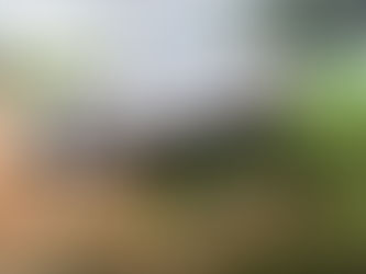 Montado en las piedras