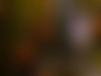 Muere Toby Keith, polémico cantante de country, a los 62 años de edad