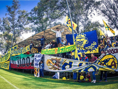 Barras del América invaden entrenamiento previo al Clásico Capitalino