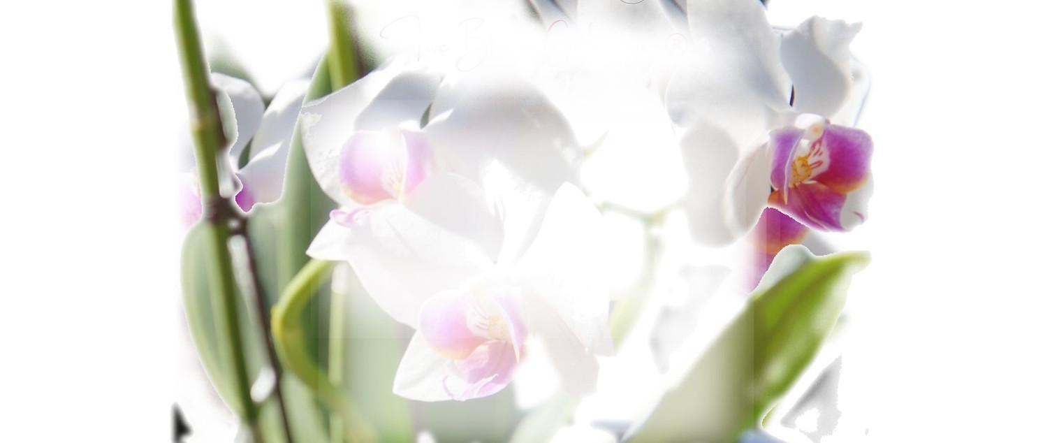 Background Banner FBG 1.jpg