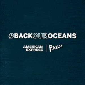 AMEX_MPP1_1.gif