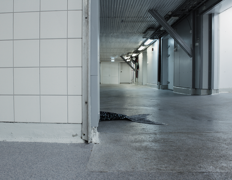 Foto1_ He, Siren_ (2025) (18)_edited_edited.png