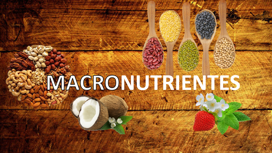 MACRONUTRIENTES: LOS GIGANTES DE LA NUTRICIÓN