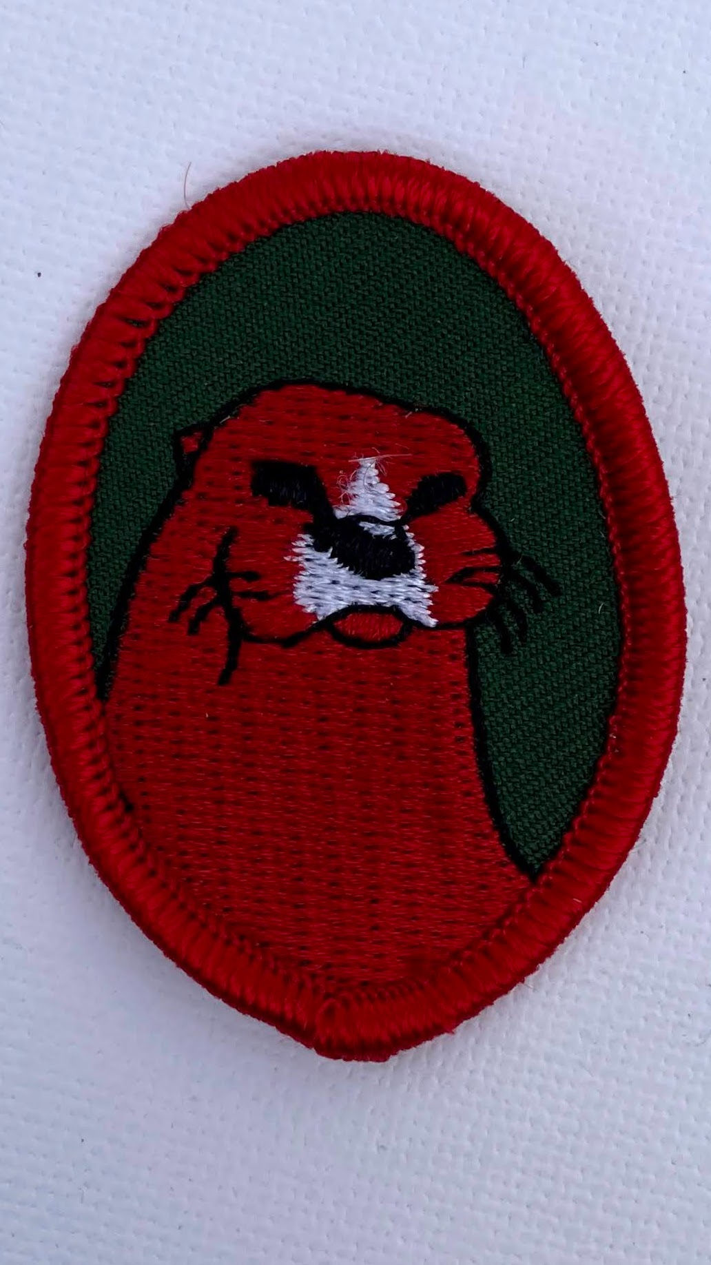 Otter Investiture Badge