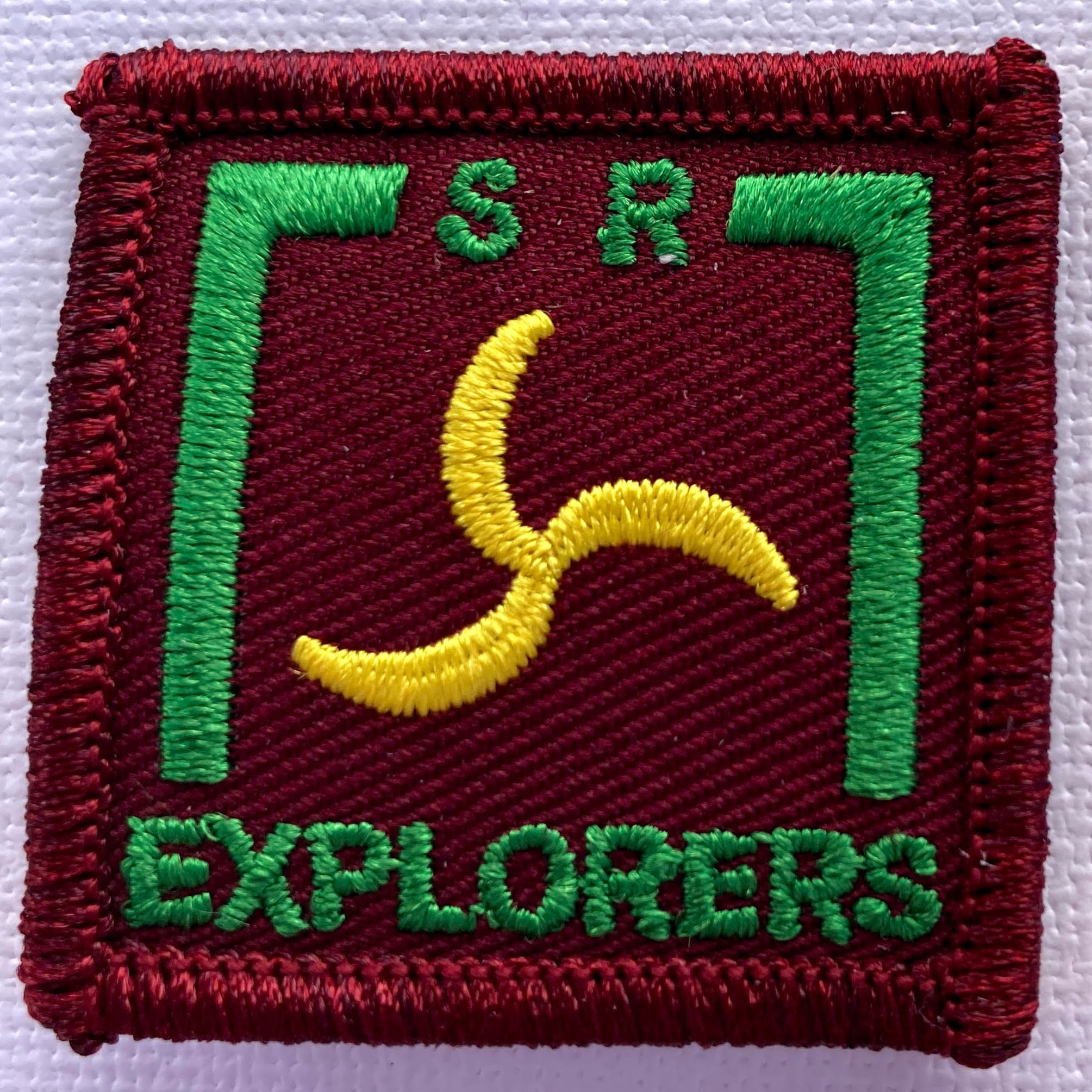 Senior Explorer Badge - Public Health