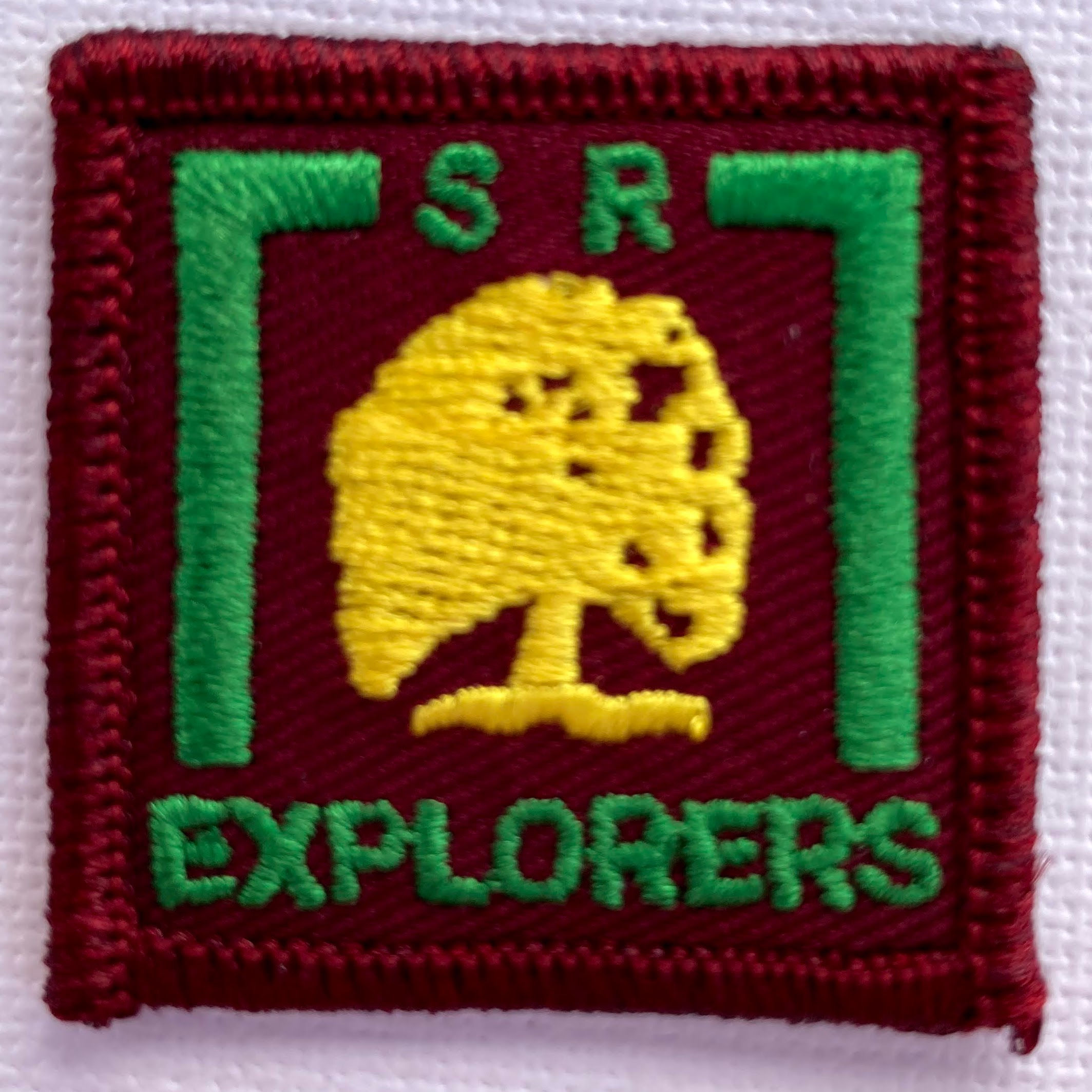 Senior Explorer Badge - Conservation