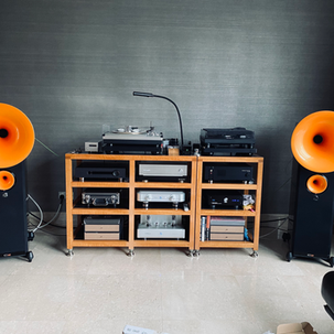 New Avantgarde Acoustic Uno SD (G3) 