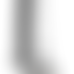 Shunyata Research Limited Edition Denali 6000 V2 Tower Reference Power Distributor