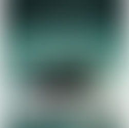 Shunyata Research Delta X Power Distributor