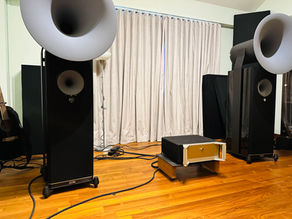 Installing Avantgarde Acoustic 3rd generation Duo GT.