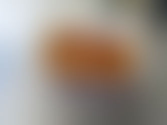 Mini Doughnut Review – Oldsmar, Florida | Reviews By Gil