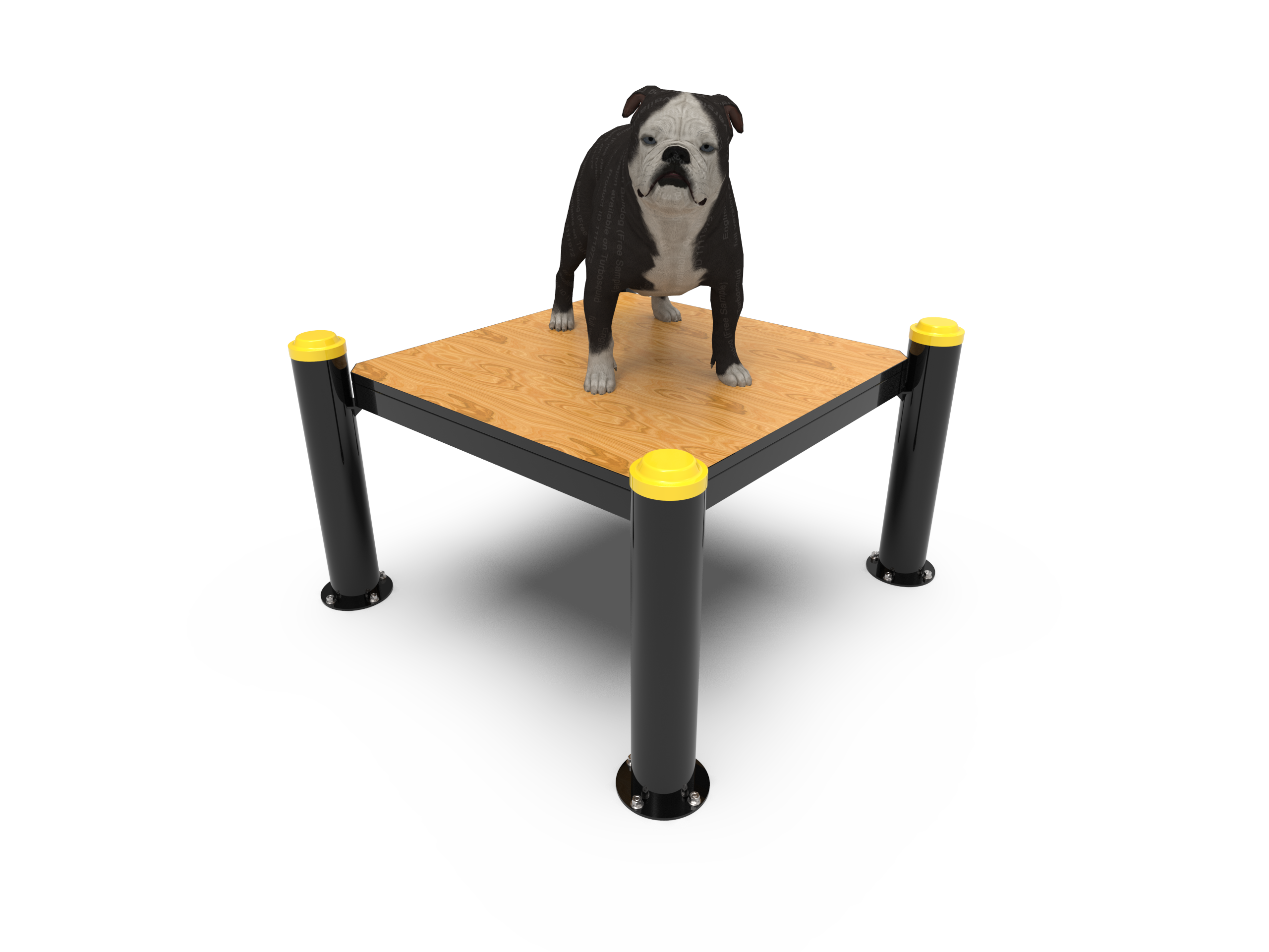 190319-04 - Plataforma de Entrenamiento Canino Agility