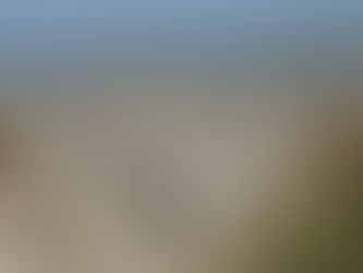 Marche Nordique - Séance du samedi