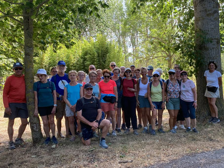 Marche Active