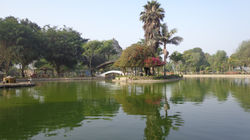 Laguna