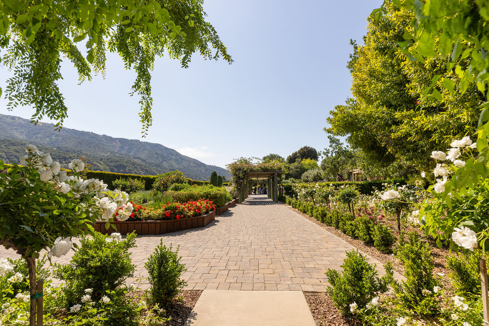 bernardus lodge carmel valley