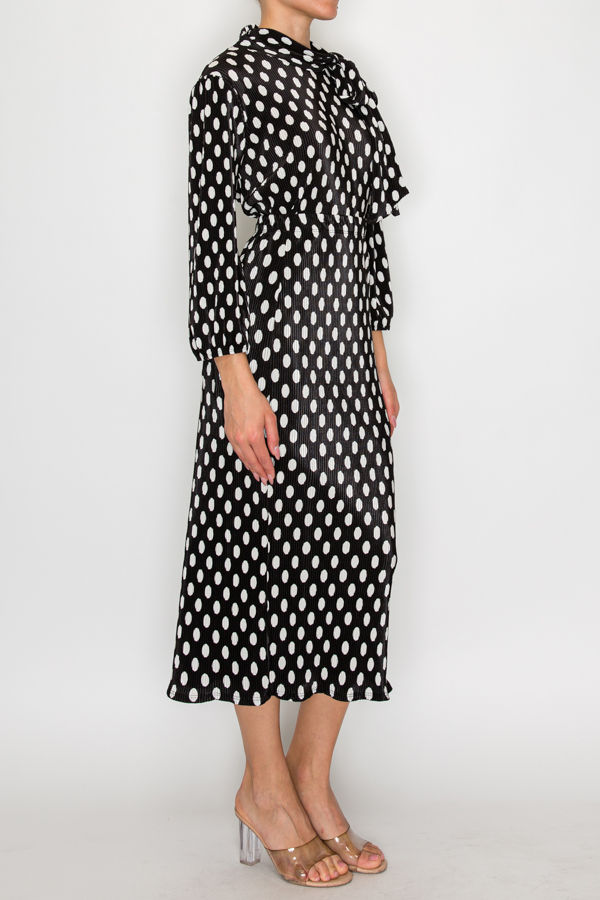 Thumbnail: B5856-POLKADOT