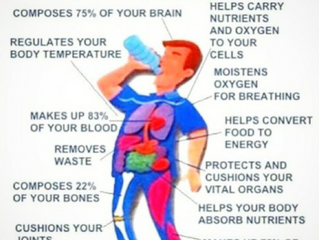 What does your body do with all that water?