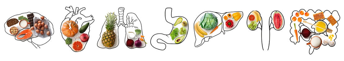 Holistic health and gut health illustration - colonics Essex