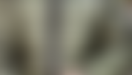 Best Mens Puffer Jackets