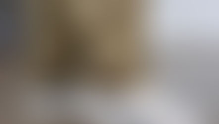 Best Everyday Sneakers