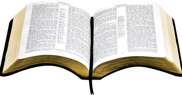 Bible #1.png
