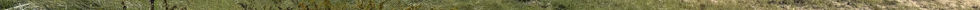 Abstract #1 - Land Reserve - MA