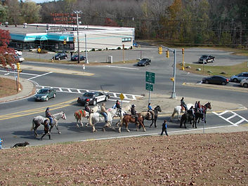 Share the Road - Horse and Rider 2.jpg