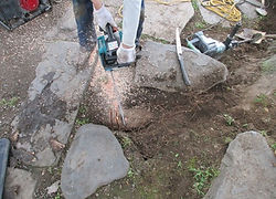 施工中_園路支障根撤去1