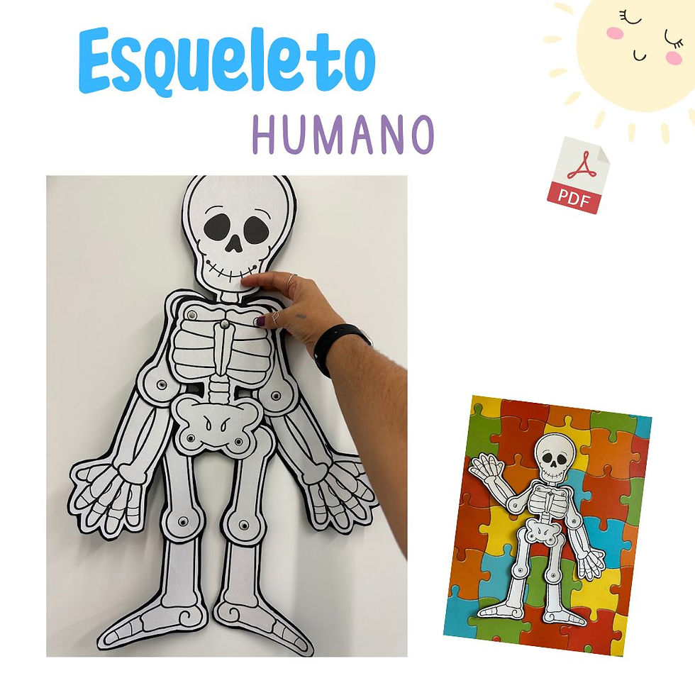 Miniatura: Esqueleto Humano Articulado para imprimir (pdf)