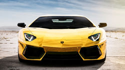 Exotic Car Rentals
