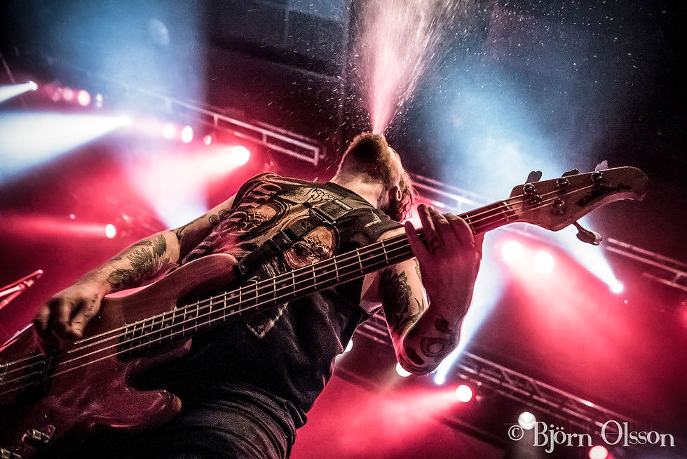 While She Sleeps
