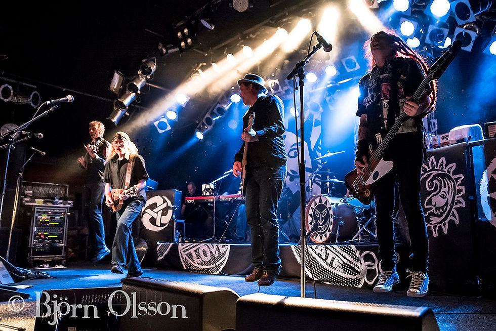 The Levellers