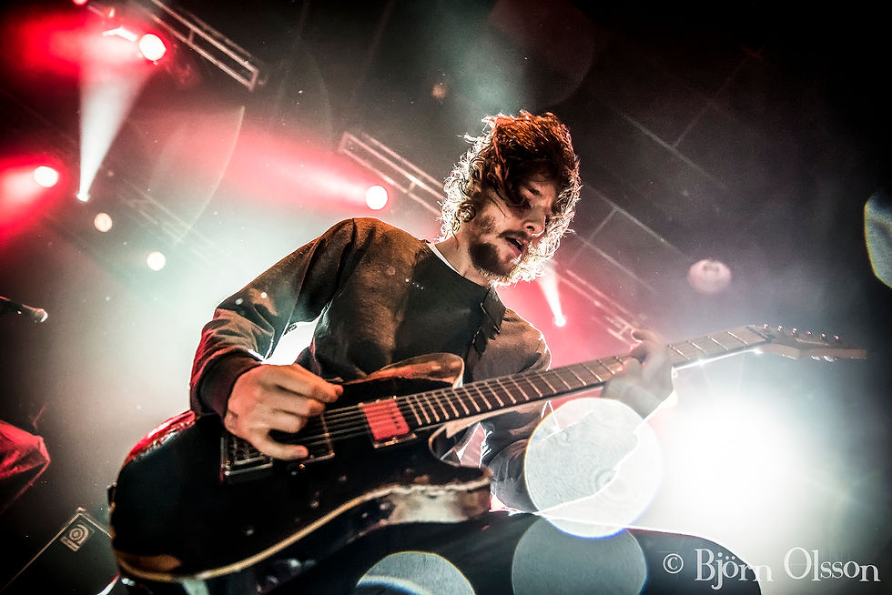 While She Sleeps