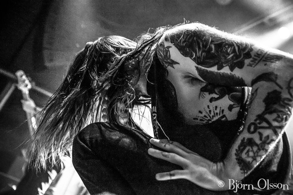 While She Sleeps